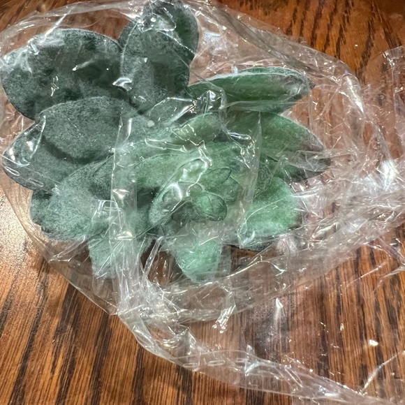 Faux Succulents - Green 16 pcs - Picture 13 of 16